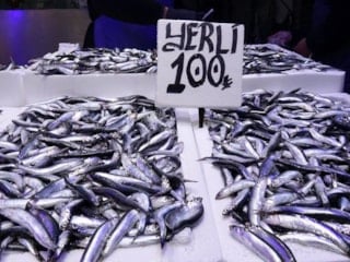 Trabzon'da hamsi ve istavrit bereketi