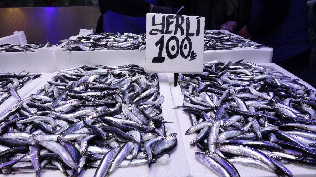 Trabzon'da hamsi ve istavrit bereketi