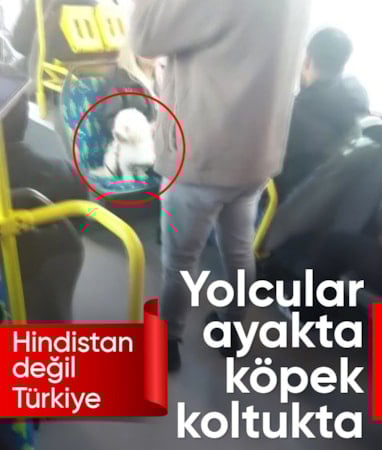 İstanbul'da köpeğin metrobüste koltuğa oturtulması tartışma yarattı