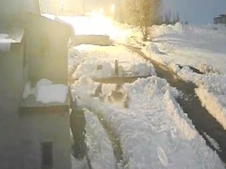 Kars'ta bir besici köpeklerine saldıran kurtları kürekle kovaladı