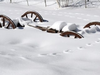Kars’ta sulak alanlar dondu, bitki ve ağaçlar kırağıyla kaplandı