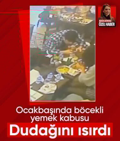 İstanbul'da ocakbaşında 'böcekli yemek' kabusu: Müşterinin dudağını ısırdı