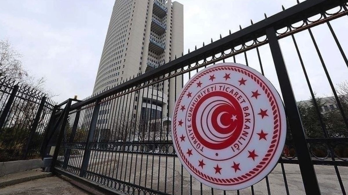 Ticaret Bakanlığı'ndan tarihi eser kaçakçılarına operasyon