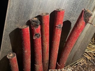 Artvin'de vinçle direklerden 1 milyon liralık kablo çaldılar