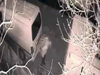 İstanbul'da akü hırsızlığı kamerada