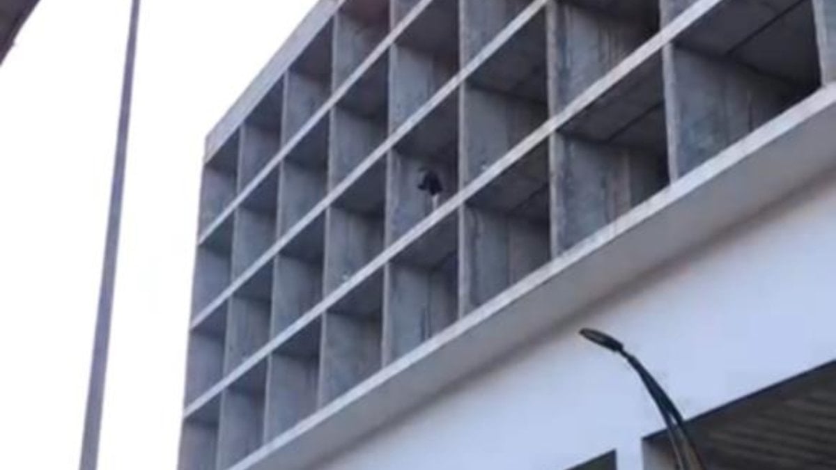 Zonguldak'ta ceza kesilen sürücü, inşaatın çatısına çıktı