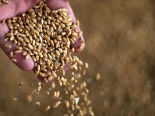 Tahıl grubuna Hürmüz Boğazı darbesi: Fiyatlar tavan yaptı