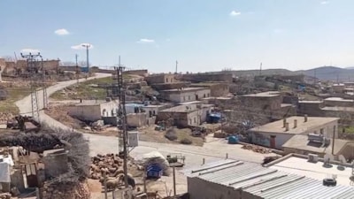 Mardin'de bir mahalle inekteki kuduz şüphesi nedeniyle karantinaya alındı