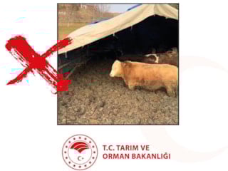 Çorum’da hayvan refahını ihlal eden işletmeye ceza