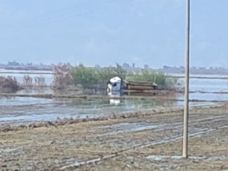 Aydın'da tır taşkın sularından mahsur kaldı: Sürücüyü itfaiye ekipleri kurtardı