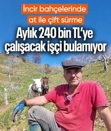 Aydın'da bir vatandaş aylık 240 bin TL'ye eleman bulamadığını söyledi