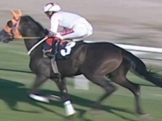 Sakatlanan yarış atının kavurma yapıldığı iddiası: At sahibi konuştu