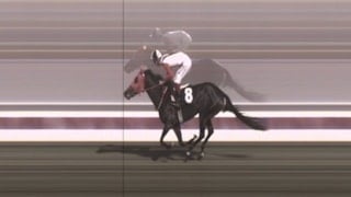 Mersin’de belediyenin aşevinde kavurmadan çıkan yarış atı: 3 birinciliği olan İngiliz 'Smart Latch'