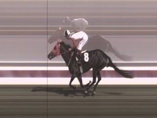 Mersin’de belediyenin aşevinde kavurmadan çıkan yarış atı: 3 birinciliği olan İngiliz 'Smart Latch'