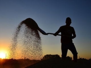 Çiftçilere 10,7 milyar liralık tarımsal destekleme ödemesi bugün yapılacak