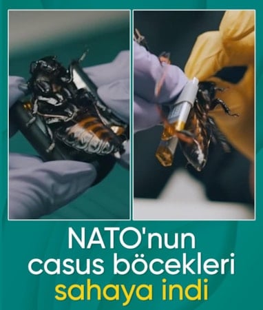 NATO'nun yeni casusları sahaya indi: Siber hamamböcekleri