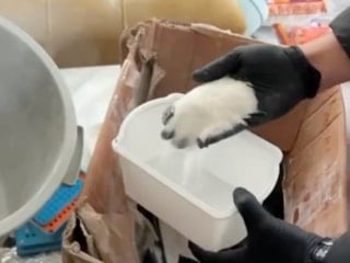 İstanbul'da uyuşturucu operasyonu: 5 şüpheli yakalandı