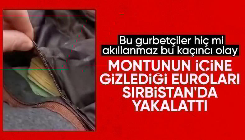Sırbistan'tan Türkiye'ye gitmek isterken üzerinde 374 bin euro ile yakalandı