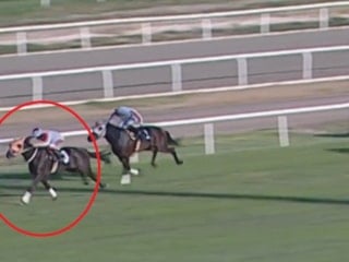 Yarış atı kavurma skandalında yeni gelişme: Sahibine 132 bin TL ceza