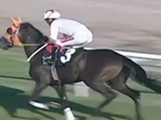 Mersin'de kavurma yapılan at, İngiliz gazetelerine manşet oldu