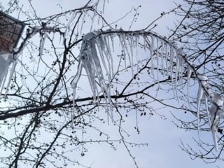 Kars'ta soğuk hava etkisini sürdürüyor