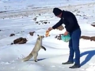 Bitlis'te madencilerden tilkiye şefkat eli