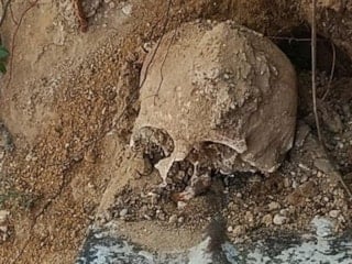 Kocaeli’de bahçede kazı yaparken insan kafatası bulundu