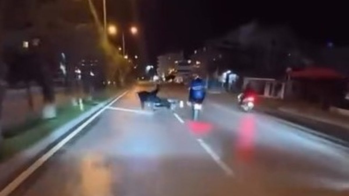 Antalya'da tek teker şovu kazayla bitti