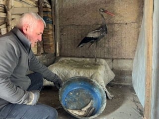 Hakkari'de donmak üzere olan leyleği hayata döndürdü