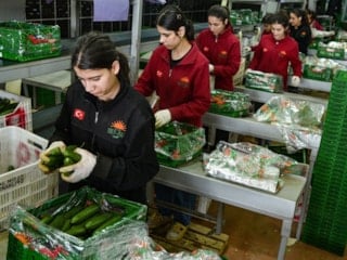 İran savaşı sonrası Türkiye'den Rusya'ya sebze ihracatı arttı