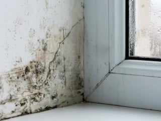 Pencere küfüne karşı en etkili yöntem: Tek sürüşte tertemiz yapıyor