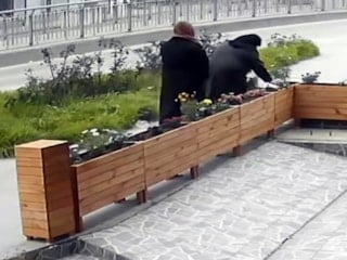 İstanbul'da bastonlu şüpheli iş yeri önündeki çiçekleri çaldı