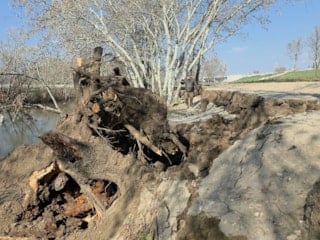 Tunca Nehri kıyısında toprak kayması: Zemin risk altında