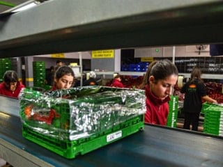 Rusya, İran savaşı sonrası sebze ihtiyacını Türkiye'den karşılamaya başladı