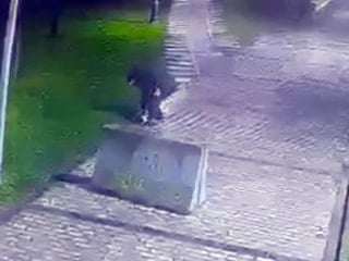 İstanbul'da parkta telefon hırsızlığı kamerada