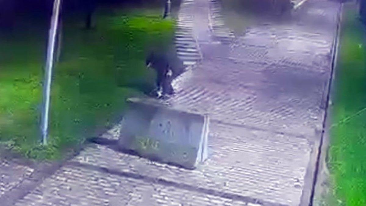 İstanbul'da parkta telefon hırsızlığı kamerada