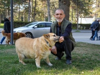 Ankara'da obez köpek 'Kız', yürüyüşle zayıflamaya çalışıyor