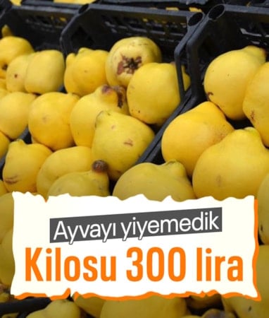 Ayva fiyatları uçtu: Kilo fiyatı 300 liraya dayandı