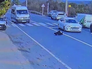 Yaya geçitlerinde ihlaller can almaya devam ediyor: Türkiye’den korkutan trafik kazaları