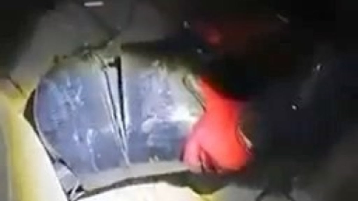 Elazığ'da yolcu otobüsünde saklanan uyuşturucuyu narkotik köpeği buldu