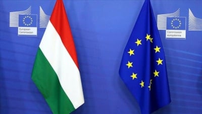 Almanya, Macaristan'ı 'AB'ye sadakatsizlikle' suçladı