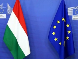 Almanya, Macaristan'ı 'AB'ye sadakatsizlikle' suçladı