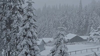 Düzce'nin yüksek kesimlerinde kar kalınlığı 40 santimetreye ulaştı