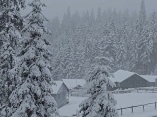 Düzce'nin yüksek kesimlerinde kar kalınlığı 40 santimetreye ulaştı