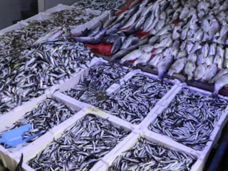 Samsun'da Ramazan ayı ve bayramında balık satışları azaldı