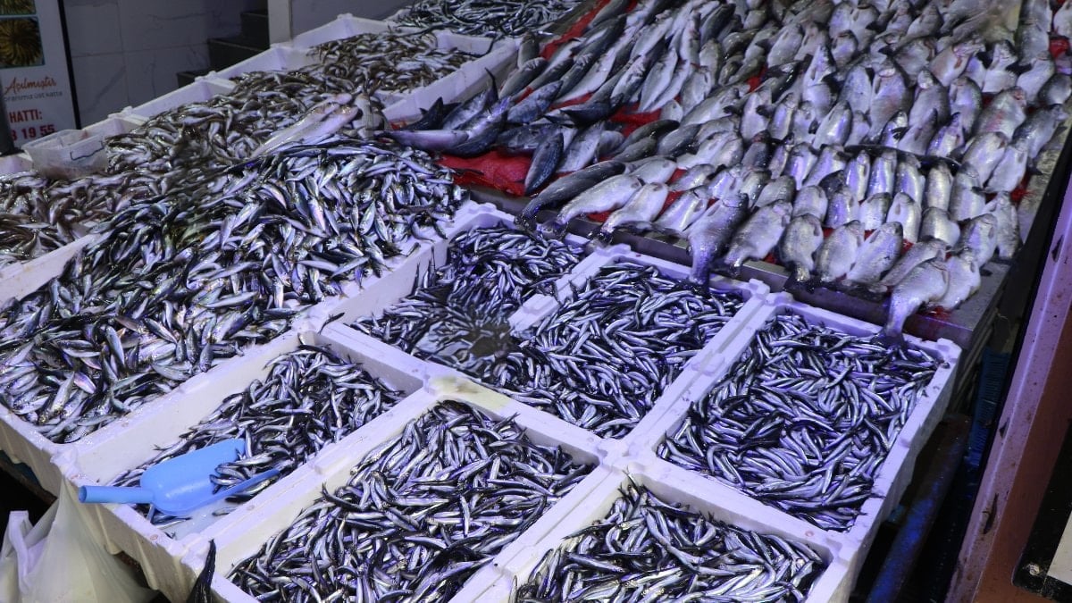 Samsun'da Ramazan ayı ve bayramında balık satışları azaldı