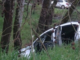 İstanbul'da virajı alamayan sürücü ağaca çarptı