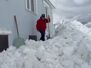 Gümüşhane’de ayılar pencerelerden evlere girmeye başladı