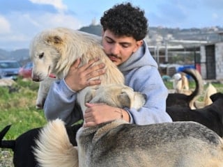 İsrail'in saldırılarında yerinden edilen hayvanlara Lübnanlı genç sahip çıktı