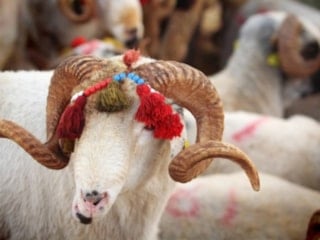 Kurban Bayramı tarihi 2026: Kurban Bayramı ne zaman, hangi güne denk geliyor